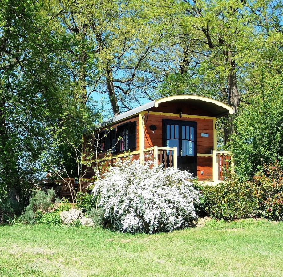 Villa Domaine des Cadets de Gascogne à Pauilhac Extérieur photo